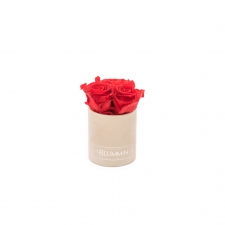 XS BLUMMiN - NUDE VELVET BOX WITH VIBRANT RED ROSES