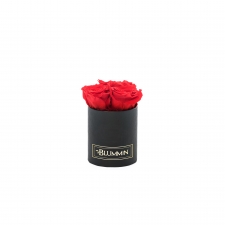 XS BLUMMiN - BLACK BOX WITH VIBRANT RED ROSES