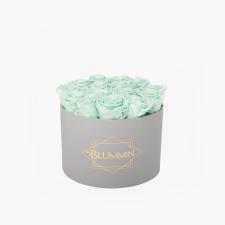 LARGE CLASSIC LIGHT GREY BOX WITH MINT ROSES