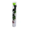 PRZ1170-05-rosa-tallo-standard_760x.jpg.webp