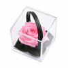 1499f190-c3a7-421d-9554-99f9f57c10cd.png