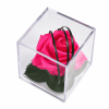 2f2767ac-ba07-40fa-add0-5f7e320bb808.png