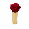 707922d4-95b3-4de0-87b2-84167bac80be.png