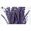 Kauasäiliv lavendel sinine-1.png