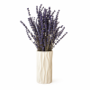 Kauasäiliv lavendel sinine.png