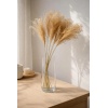 BLUMMIN_MISCANTHUS.jpg