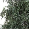 CNI0113-2-crown-2.jpg